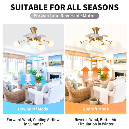 Modern Gold Retractable Ceiling Fan with Lights, 8-Light Flush Mount Fan with Remote