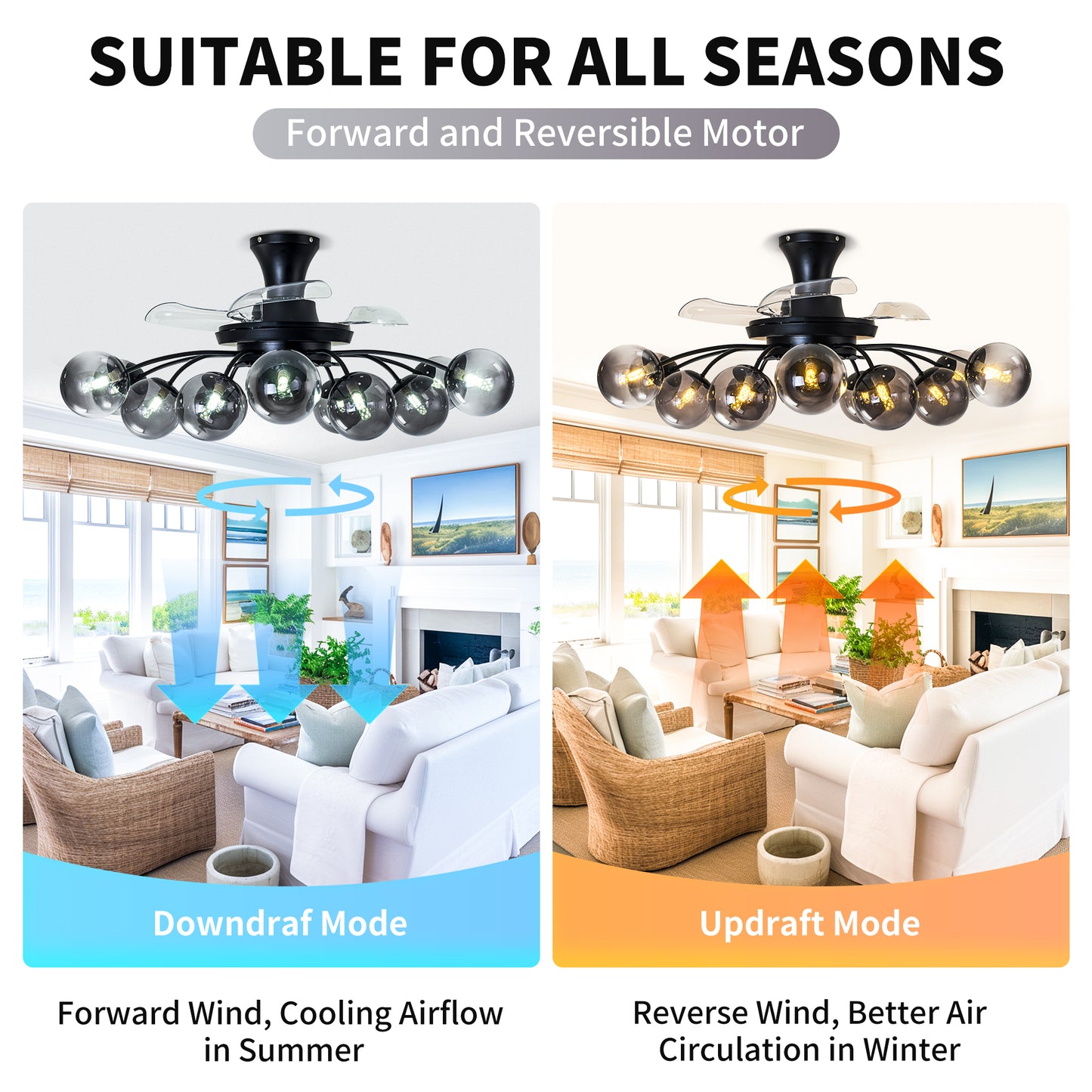 Black Smoke Glass 12-Light Retractable Ceiling Fan with Remote