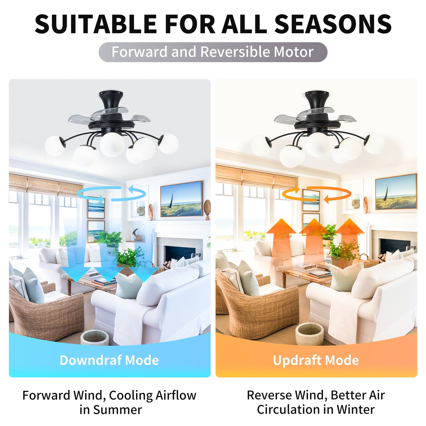 Modern Black Chandelier Fan with 8 Globe Lights & Remote